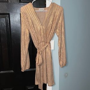 NWT Rose gold/bronze mini dress